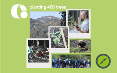 Planting trees in Oberammergau