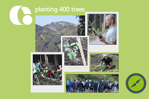 photo collage of tree planting in oberammergau
